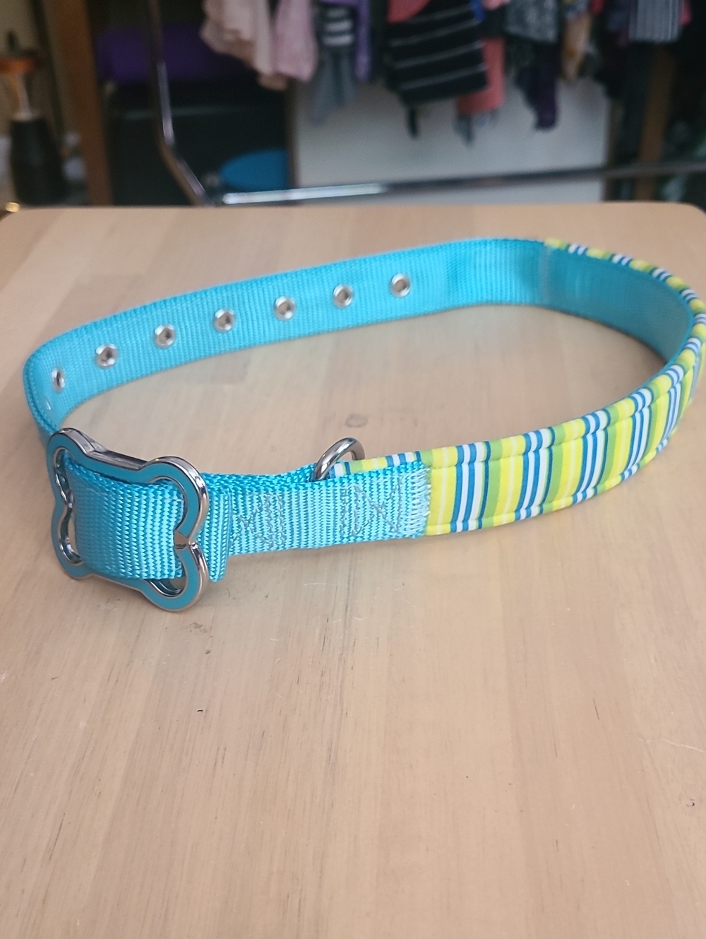 Turquoise & Yellow Striped Dog Collar